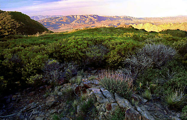 desert-rainshadow-ca